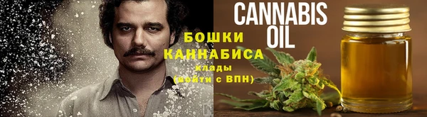 дмт Осташков