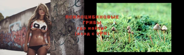 бошки Переславль-Залесский