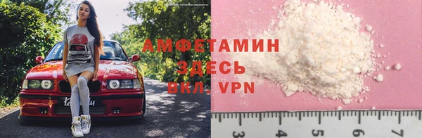 PSILOCYBIN Пересвет