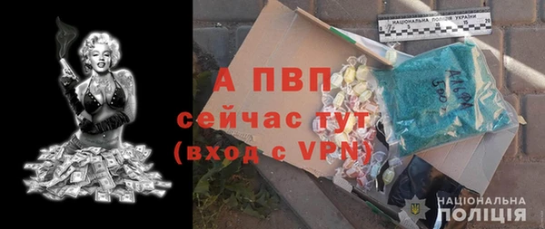 PSILOCYBIN Пересвет
