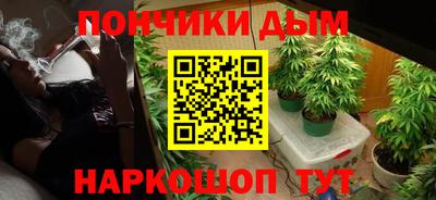 шишки Конаково