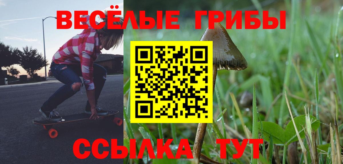 Псилоцибиновые грибы мухоморы Ревда